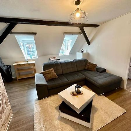 Logement Entier Au Coeur De Strasbourg Kültér fotó