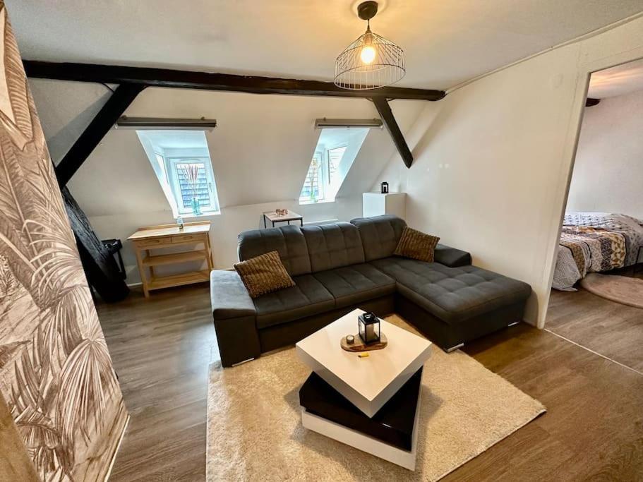 Logement Entier Au Coeur De Strasbourg Kültér fotó
